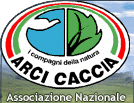 arcicaccia