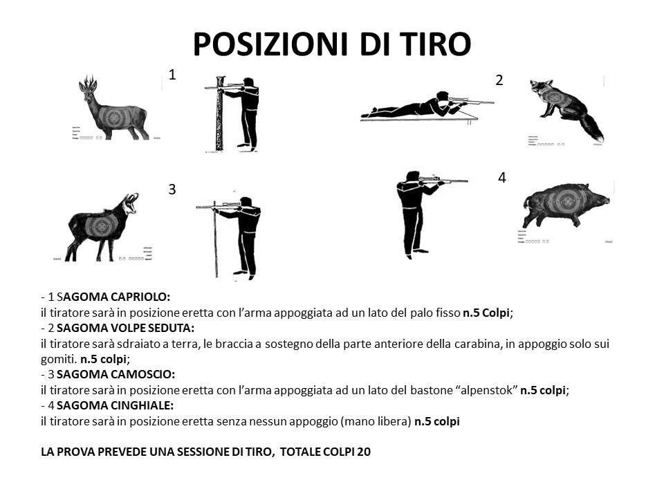 Diapositiva2