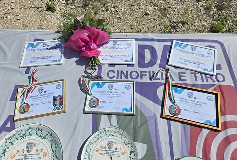 I momenti clou del Campionato italiano seguita su lepre, categoria Mute