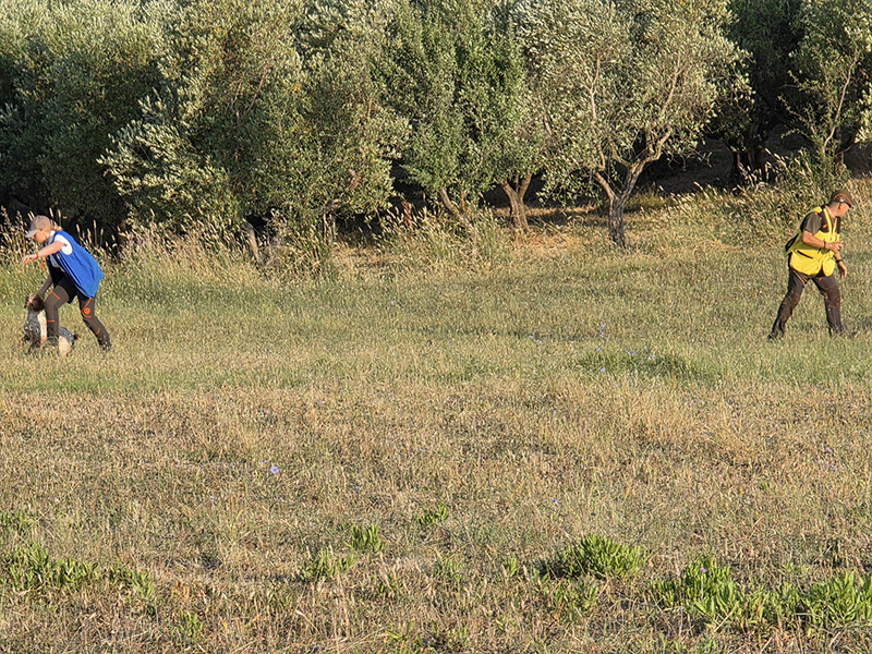 FASI DI GARA E PREMIAZIONI