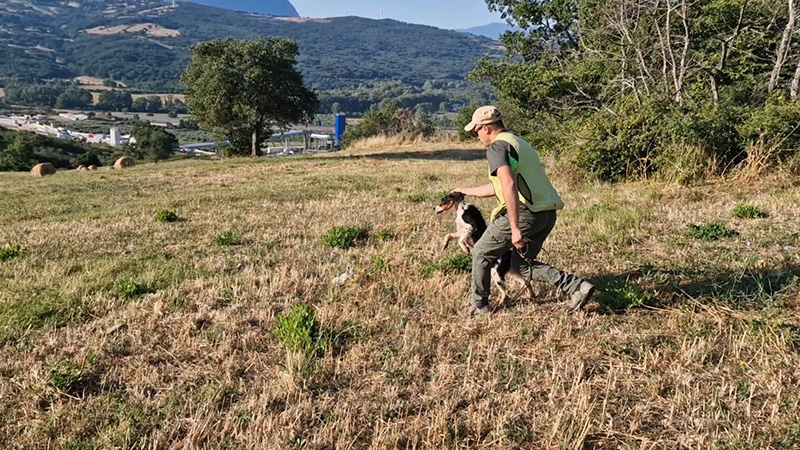 FASI DA GARA E PREMIAZIONI