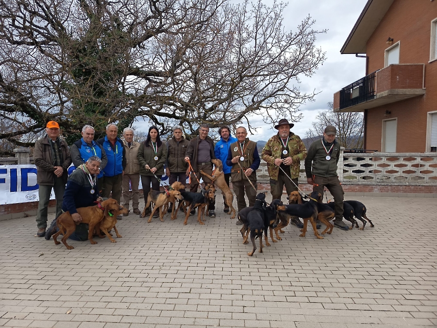 Seguita su lepre 2026