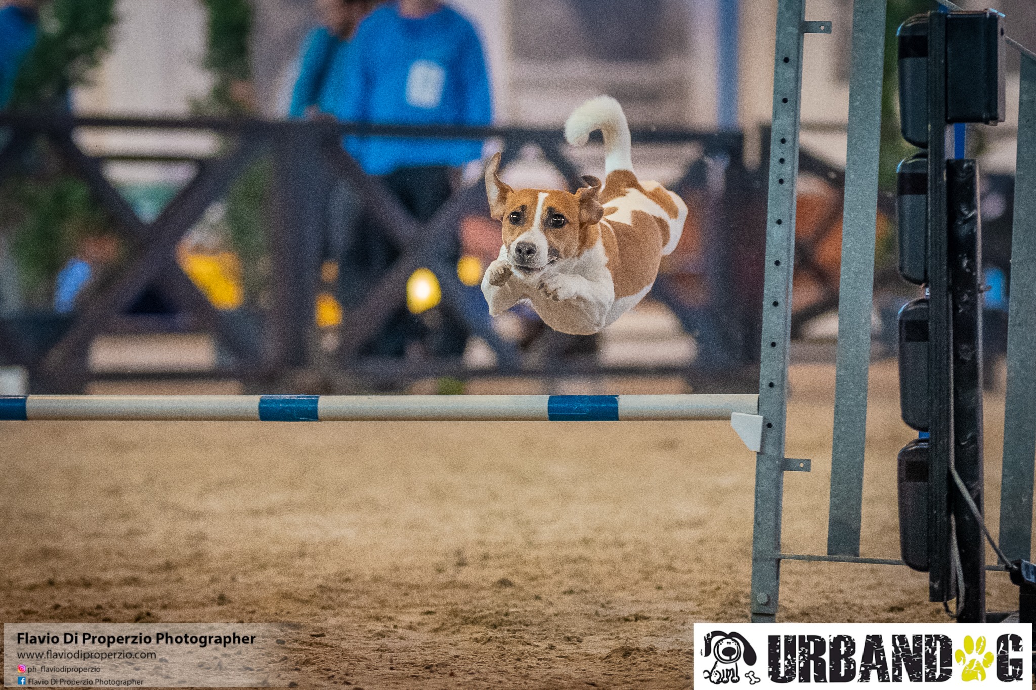 AGILITY - Primo weekend di gare per il Grand Prix