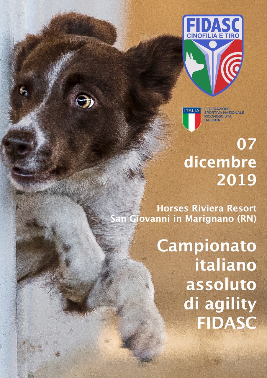 Locandina Camp ita agility 2019