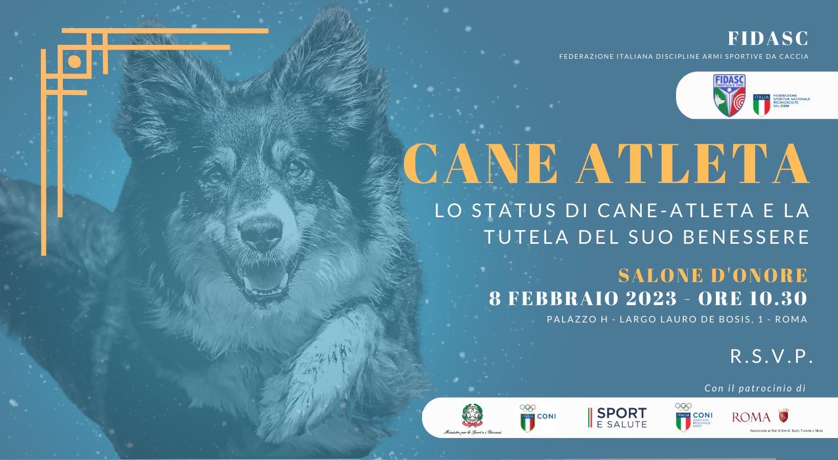 Il Cane Atleta