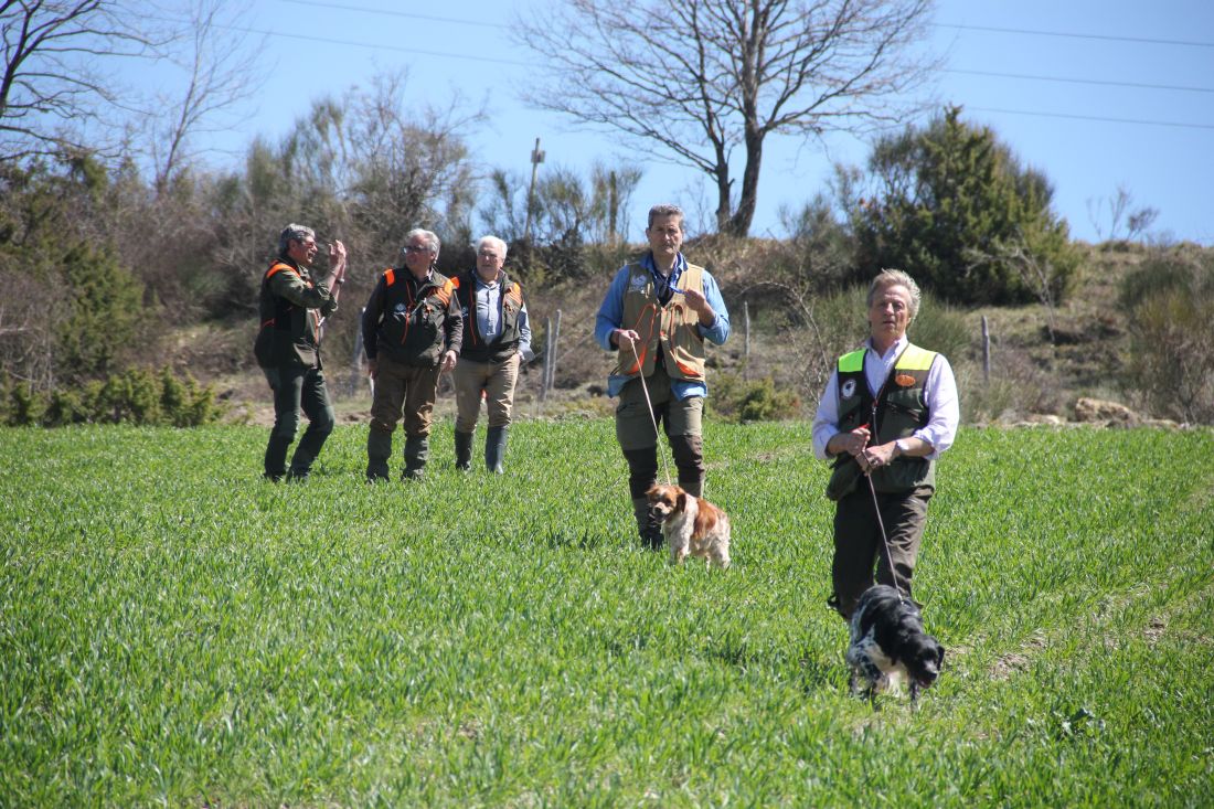 18° Campionato Italiano per conduttori di cani da ferma su starne