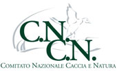 logocncn