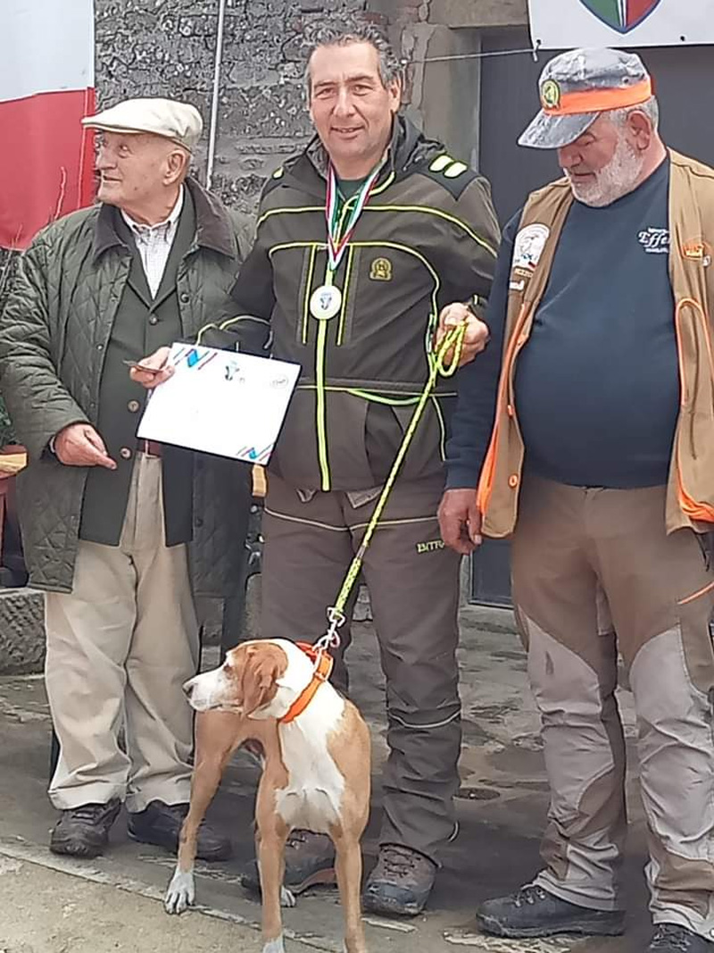 Cinghiale Singolo Cronaca1