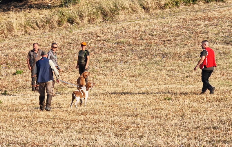 22° Campionato italiano Premium su quaglie