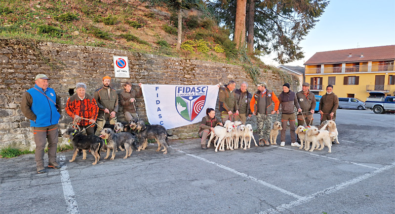 Cinghiale A Cronaca2