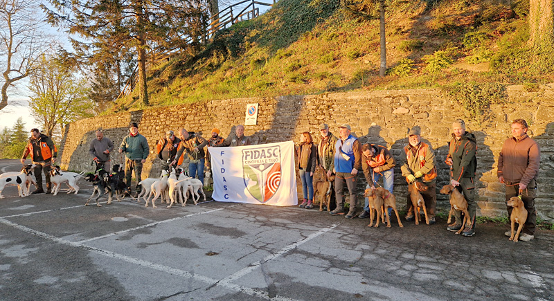 Cinghiale A Cronaca3