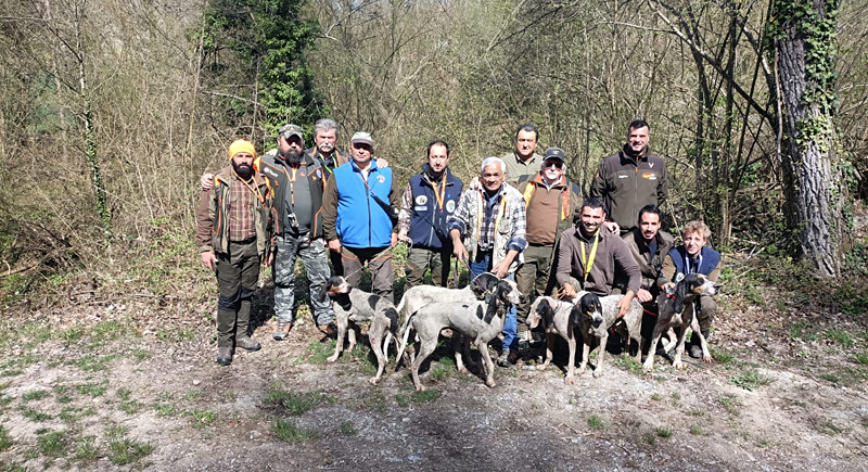 Cinghiale A Cronaca4