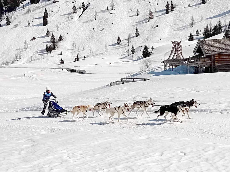 Mondiali sleddog Sprint & Media Distanza