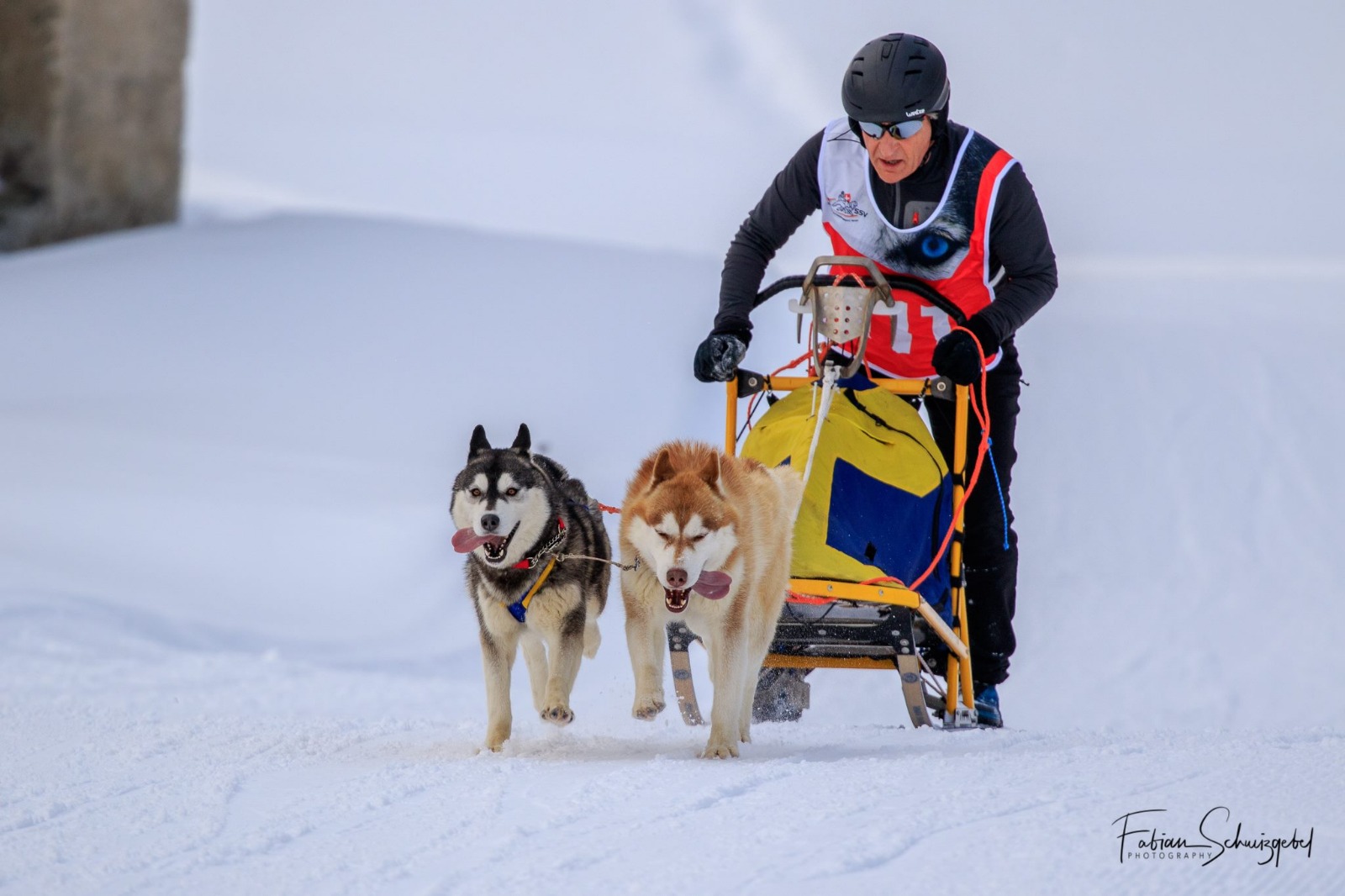 Lo sleddog italiano si mette in luce in Europa.