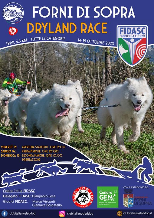 Forni di sopra